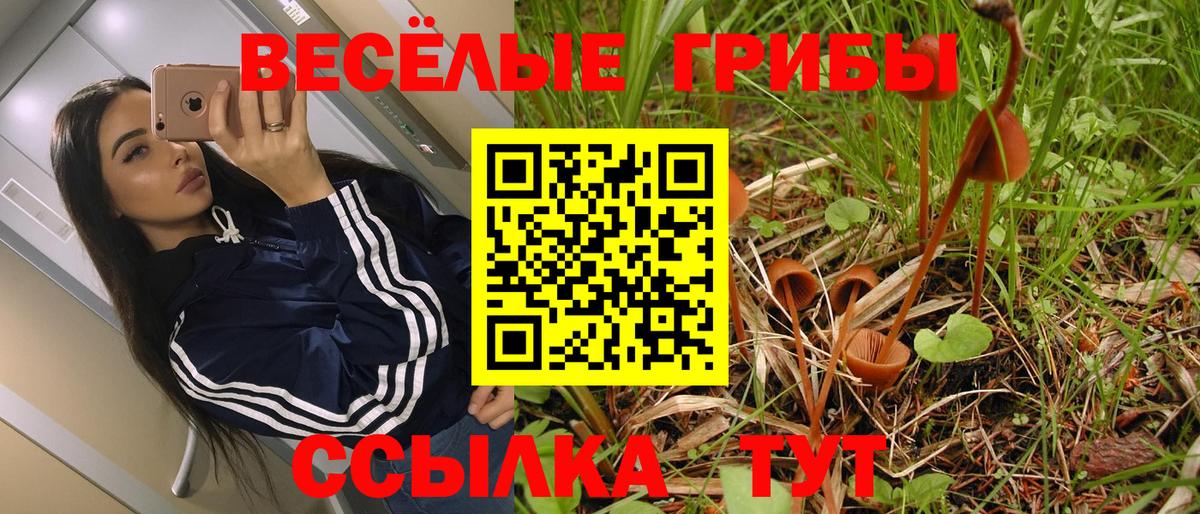 Шадринск  Галлюциногенные грибы Psilocybe  Вход с VPN 