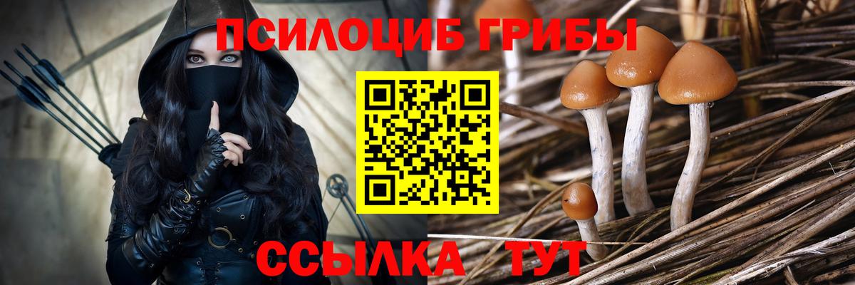 Псилоцибиновые грибы мицелий Шадринск